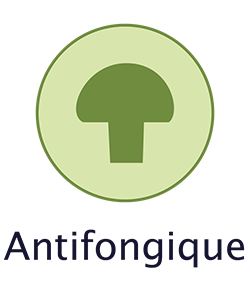 matelas enfant lutte contre les champignons
